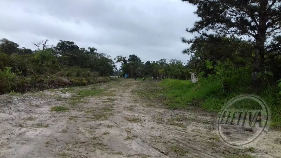 TERRENO 450 M² - COROADOS - Foto 2