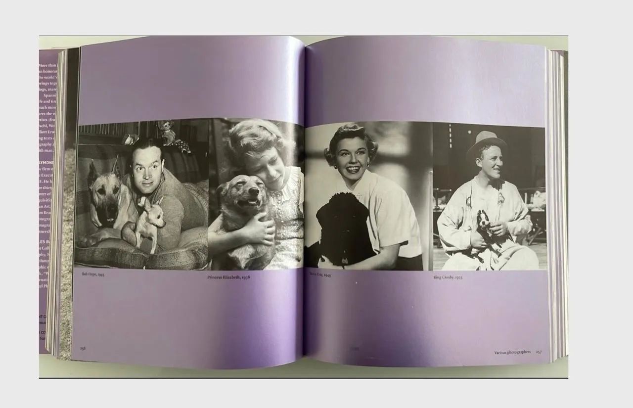 Livro  - Foto 4