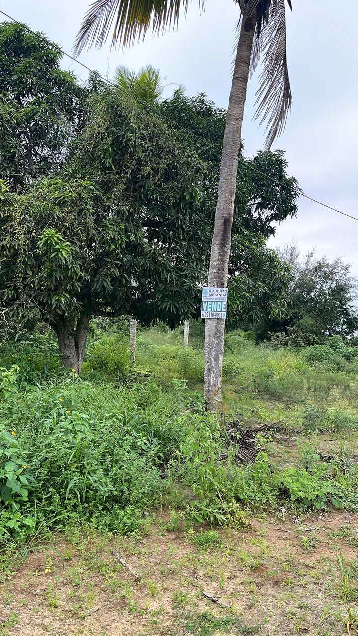 Terreno 8 tarefas em Coração de Maria
