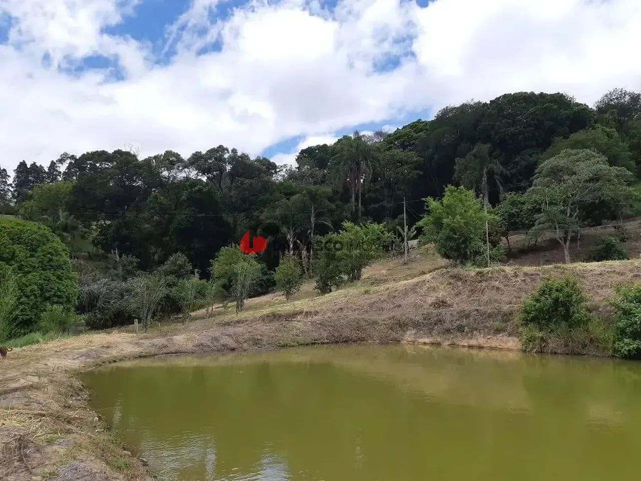 Chácara em Roseiral - Foto 5