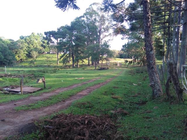 Chácara de 8.000 m² .R$ 400.000,00 Guarapuava PR - Foto 3