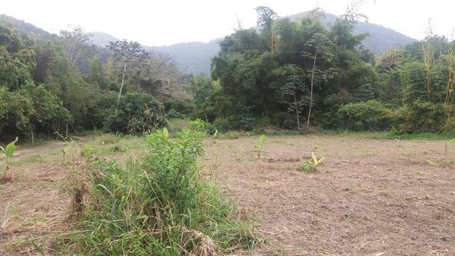 Excelente área para Fazenda no Espraiado com 224.000,00m2 - Maricá - Foto 9