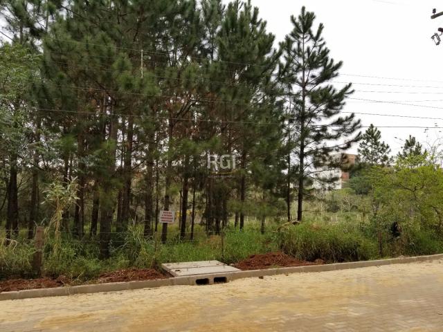 Terreno à venda em Centro, Nova santa rita cod:BD3719 - Foto 2