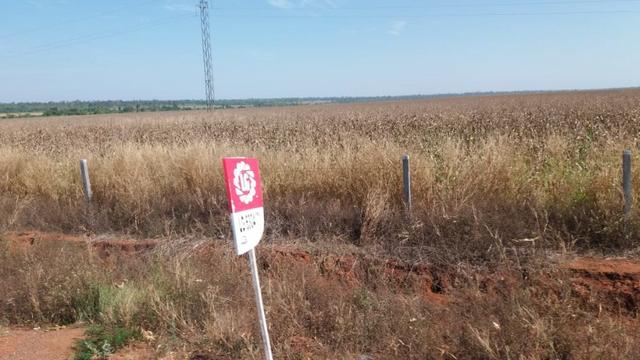 4000hectares com 2000 aberta em Juara-MT