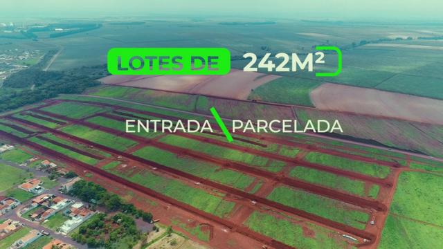 Terreno - Foto 4