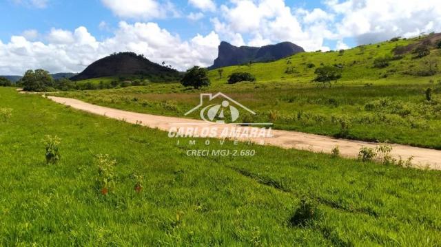 Fazenda à venda, , zona rural - carlos chagas/mg - Foto 20