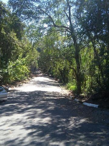 Terreno à venda em Serra da cantareira, São paulo cod:274816 - Foto 2
