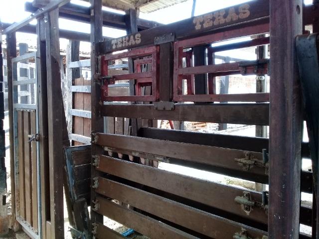 Belíssima Fazenda com casa boa e piscina na região rural de Riachão do Jacuípe Bahia - Foto 17