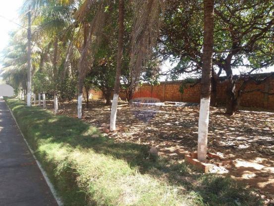 Terreno para locação em avenida padre cícero - Foto 6