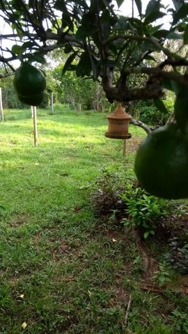 Chácara em (barão de melgaço a venda ) - Foto 19
