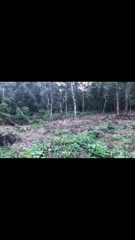 Terreno praia de Itapoá-SC - Foto 3