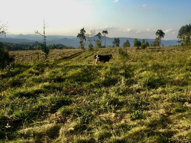 Vendo Lindíssima Chácara Escriturada, Parcelo Direto sem Juros!! Ótimo local! Aproveite!! - Foto 8