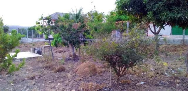Chácara com casa sede, árvores frutíferas, 2.500m², 40 minutos de Taguatinga! - Foto 11