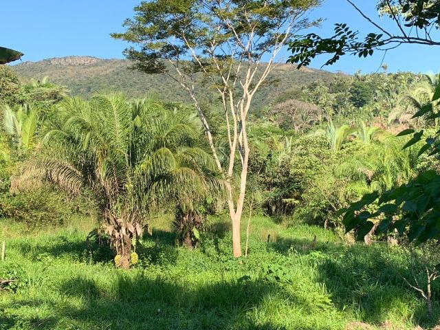 Chacara região da serra de são vicente - Foto 7