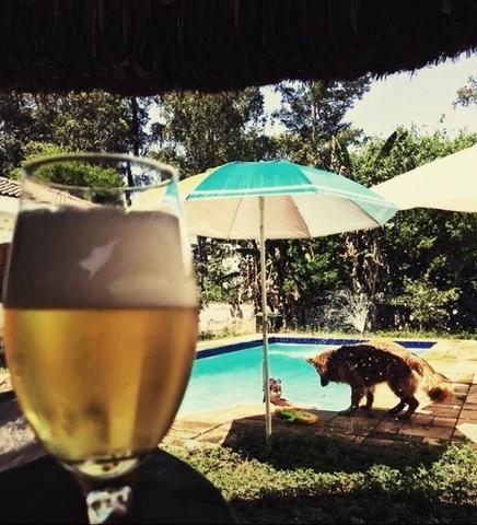 Chácara com piscina p/ festa e eventos próximo ao SBT na Anhanguera