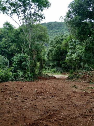 Chácara em Nova Petrópolis com 5000 m² - Pinhal Alto - Foto 6