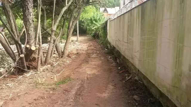 Terreno comercial para locação, Tristeza, Porto Alegre. - Foto 8