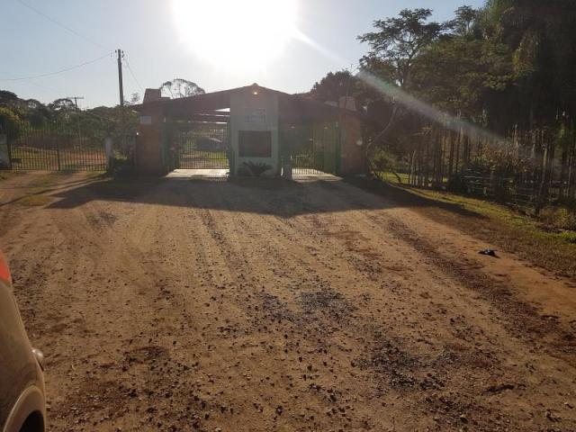 Chácara à venda com 3 dormitórios em Zona rural, Santa barbara de goias cod:em518 - Foto 4
