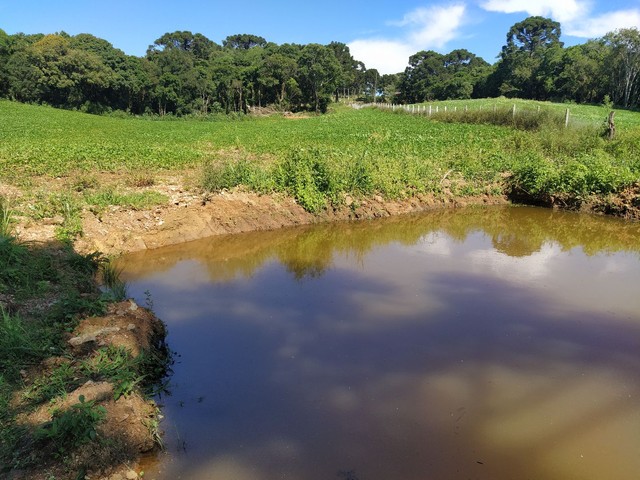 sitio Felipe - Foto 2