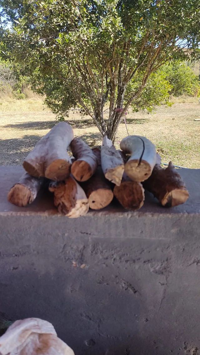 Lenha Frutífera de Jaboticaba para churrasco, defumação e parrilha - Foto 2