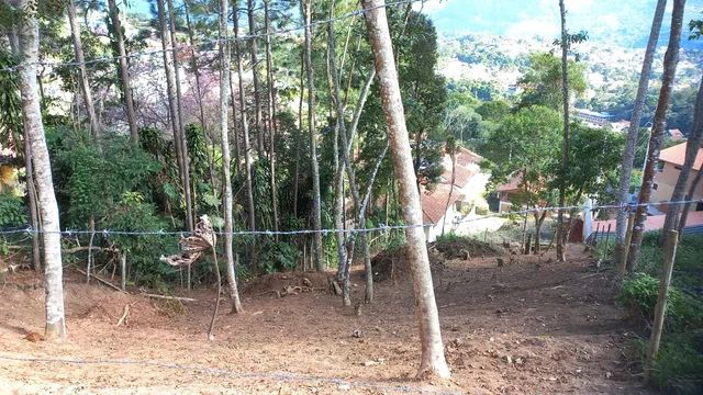 Terreno Braunes