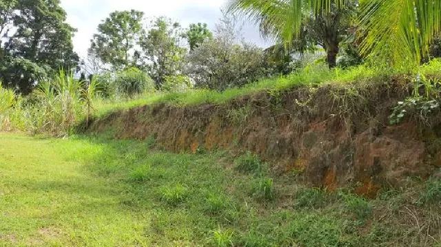 Terreno em Guaratiba - Foto 4