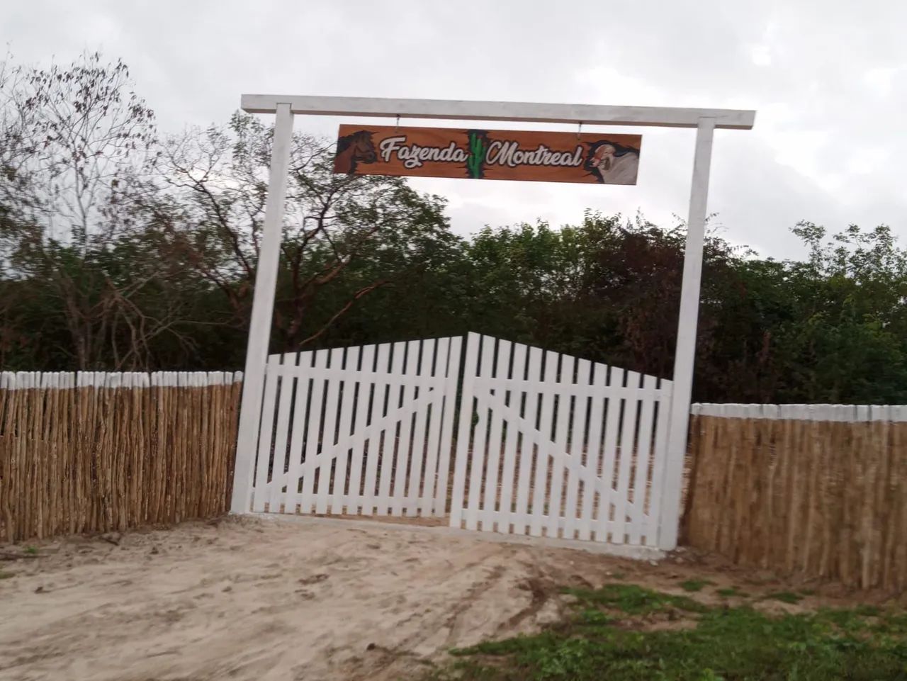 Placas entalhadas brasões de família tábuas de churrasco fachada e muito mais - Foto 4