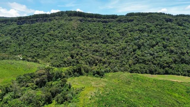 Vende sítio  - Foto 3