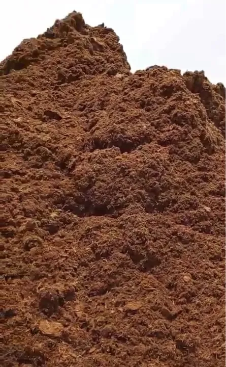 Bagaço de Cana posto fazenda