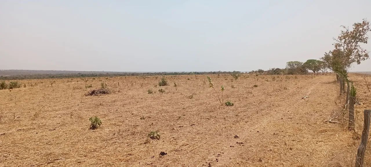 Procuro sócio ou investidor urgente  - Foto 4