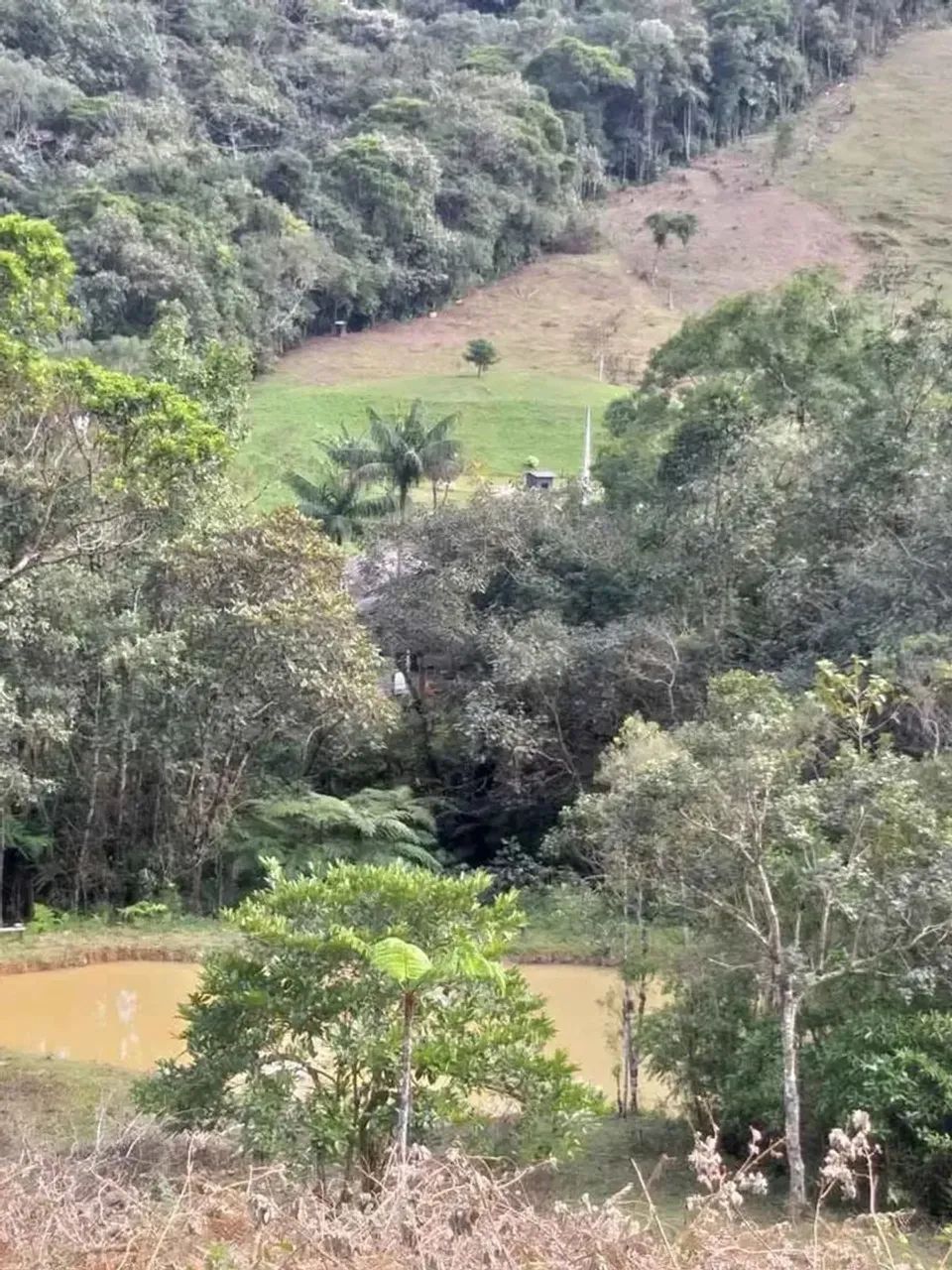 Lindo sítio de 5 hectares sendo 100x500 no bairro Espanha, três riacho Biguacu com casa. - Foto 13