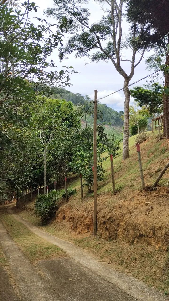Sítio em santa teresa - Foto 4