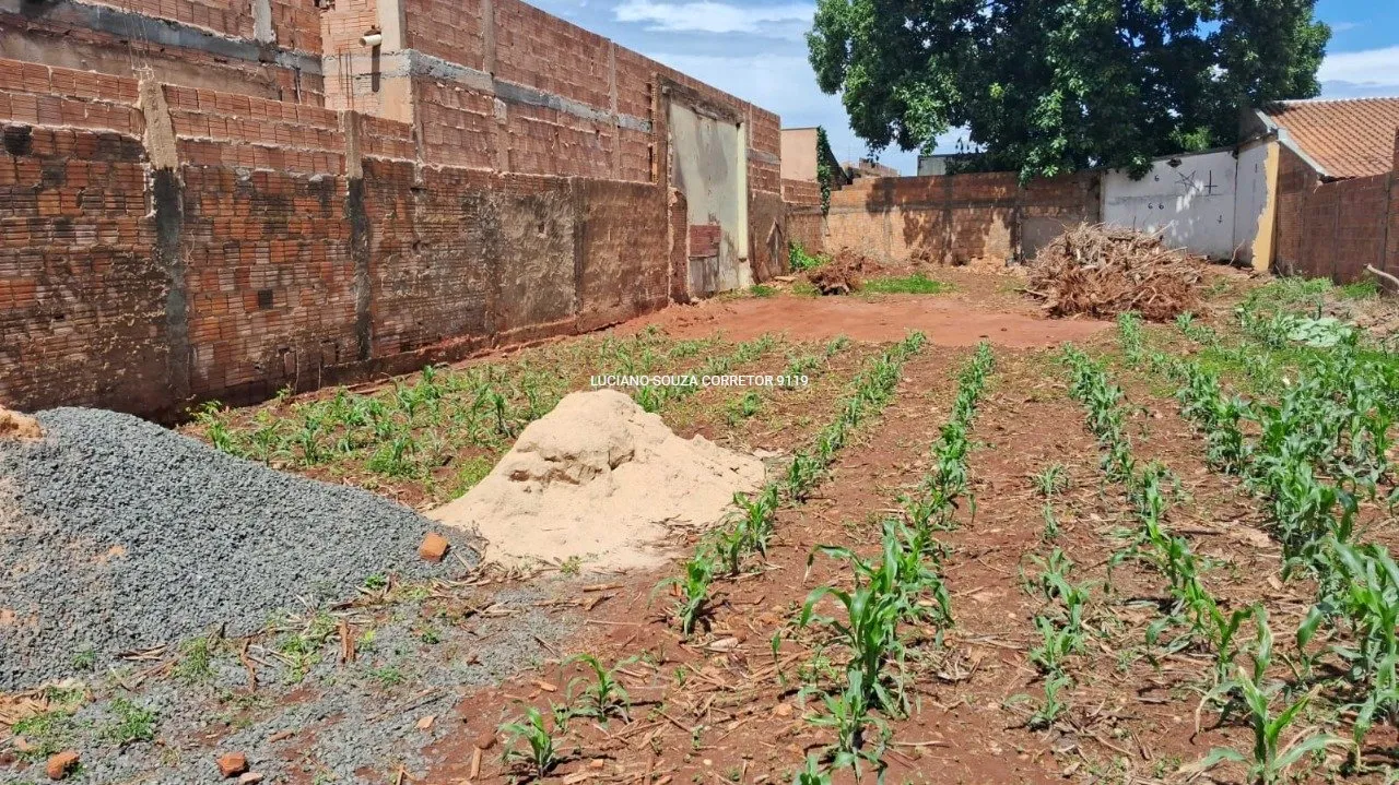 Terreno Espaçoso no Monte Castelo
