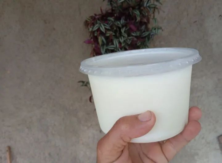 Banha de porco 