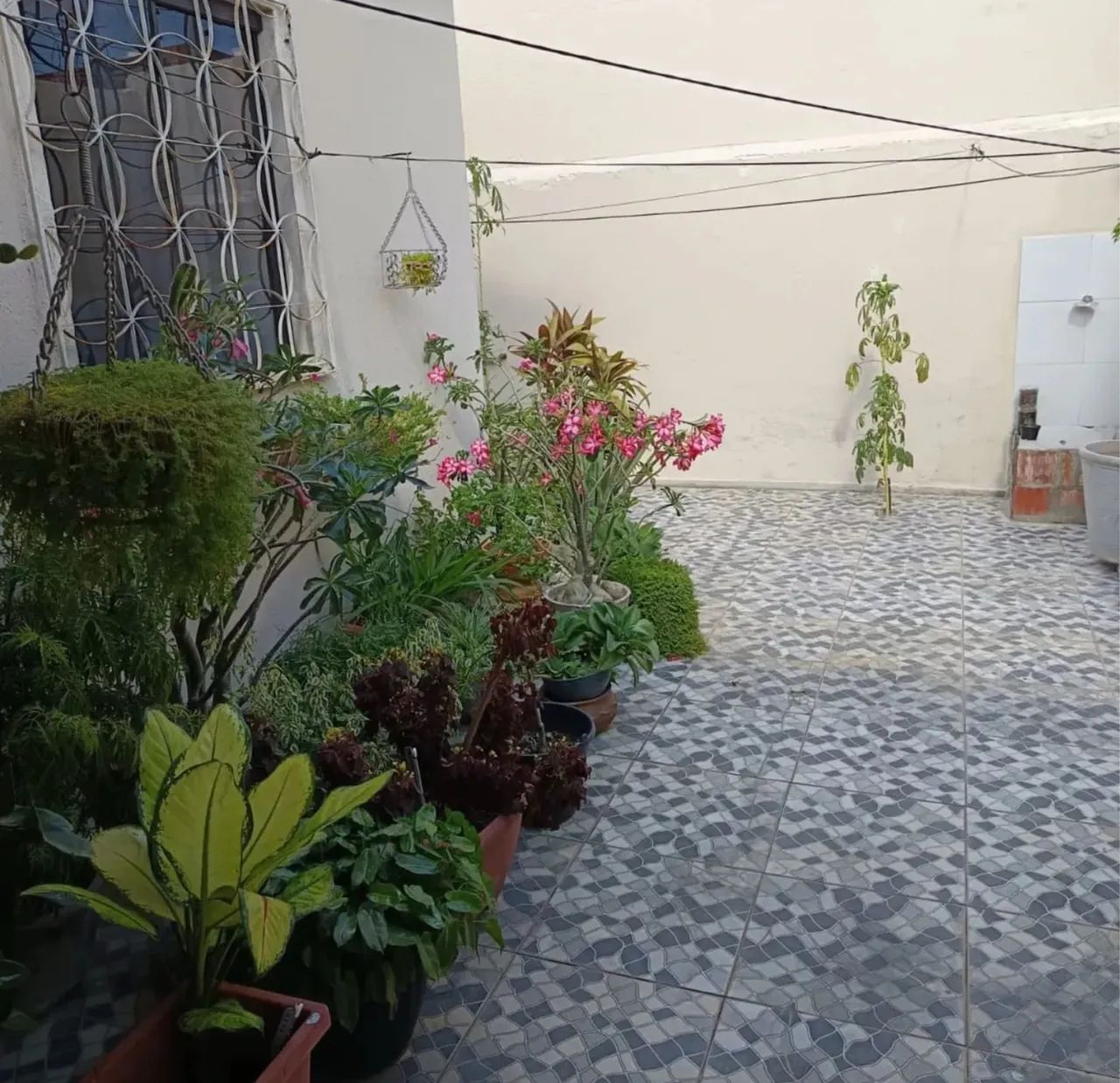 A VENDA - CHÃ DA JAQUEIRA  - Foto 4