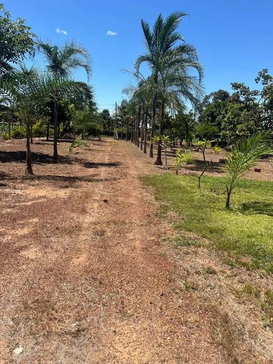 foto - Brasília - Asa Norte