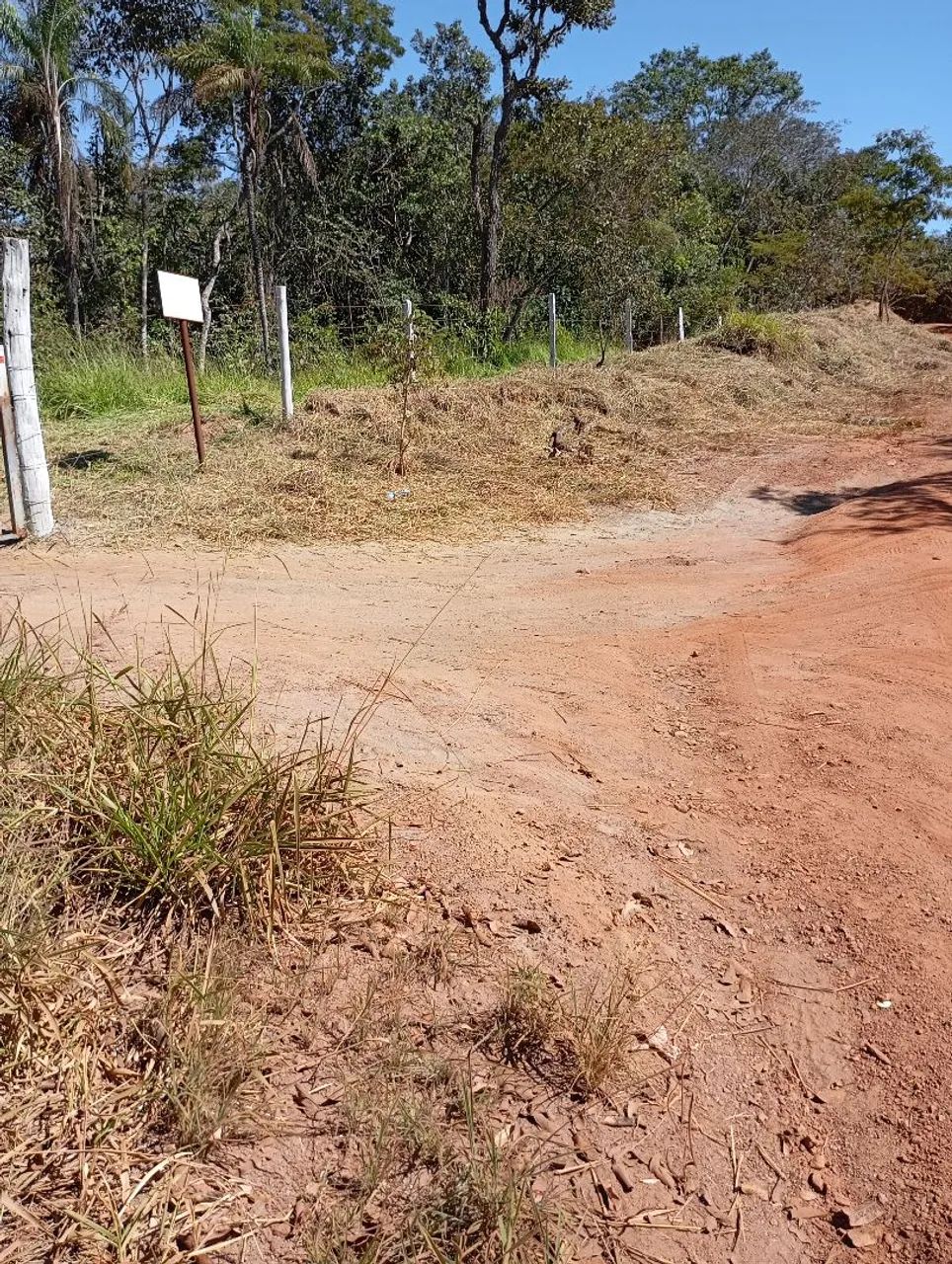 Chácara de 2 ha em alexania g.o - Foto 5