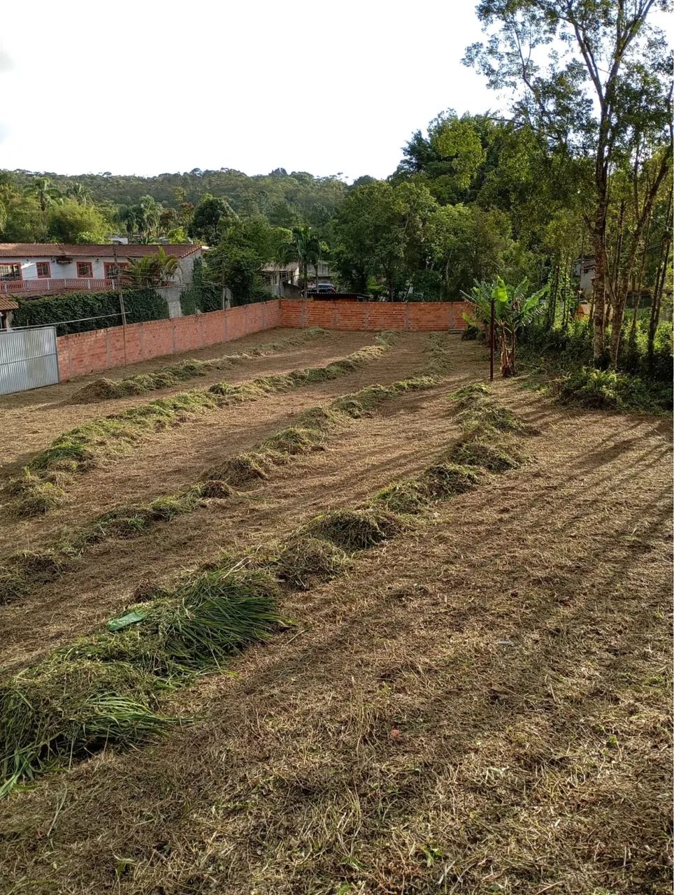 Foto - São Bernardo do Campo - Santa Cruz