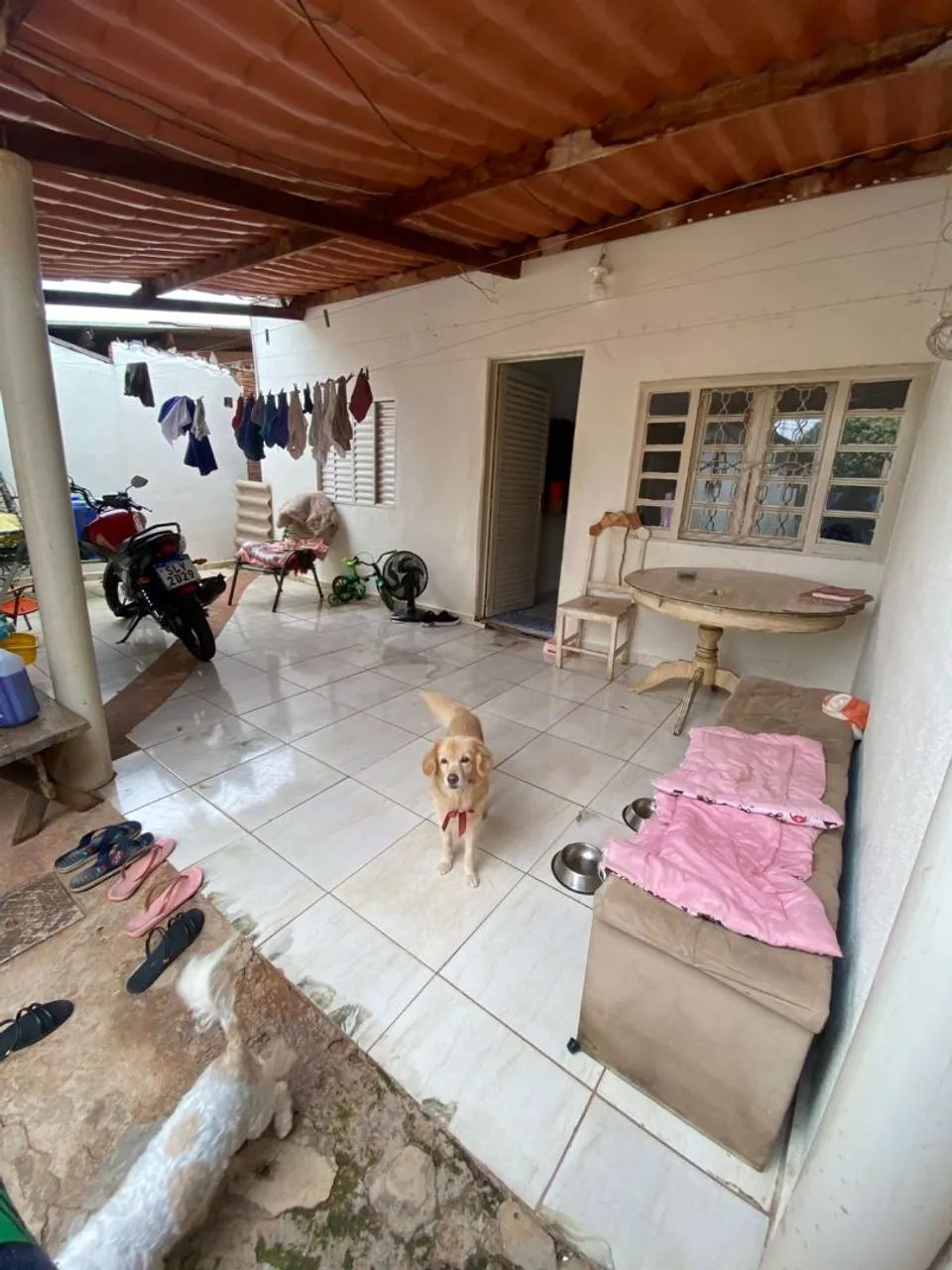 Foto - Campo Grande - Jardim Tijuca