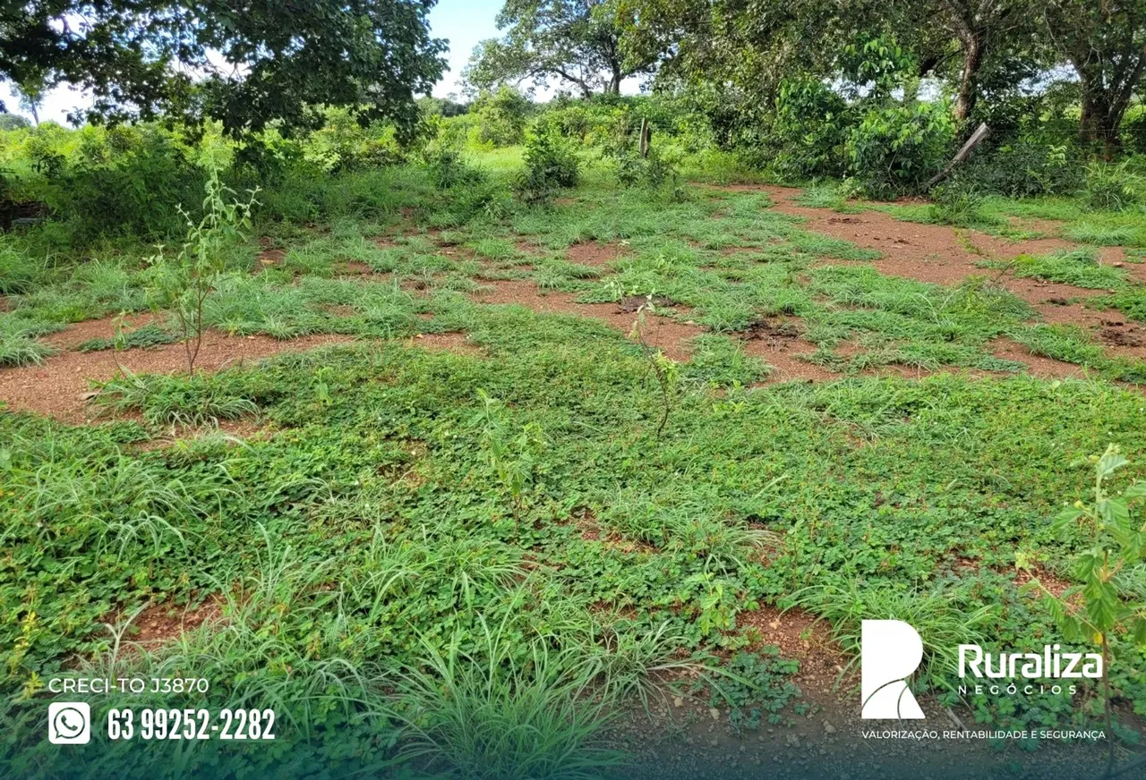 Santa Rita do Tocantins - TO Arrendamento Agrícola com carência