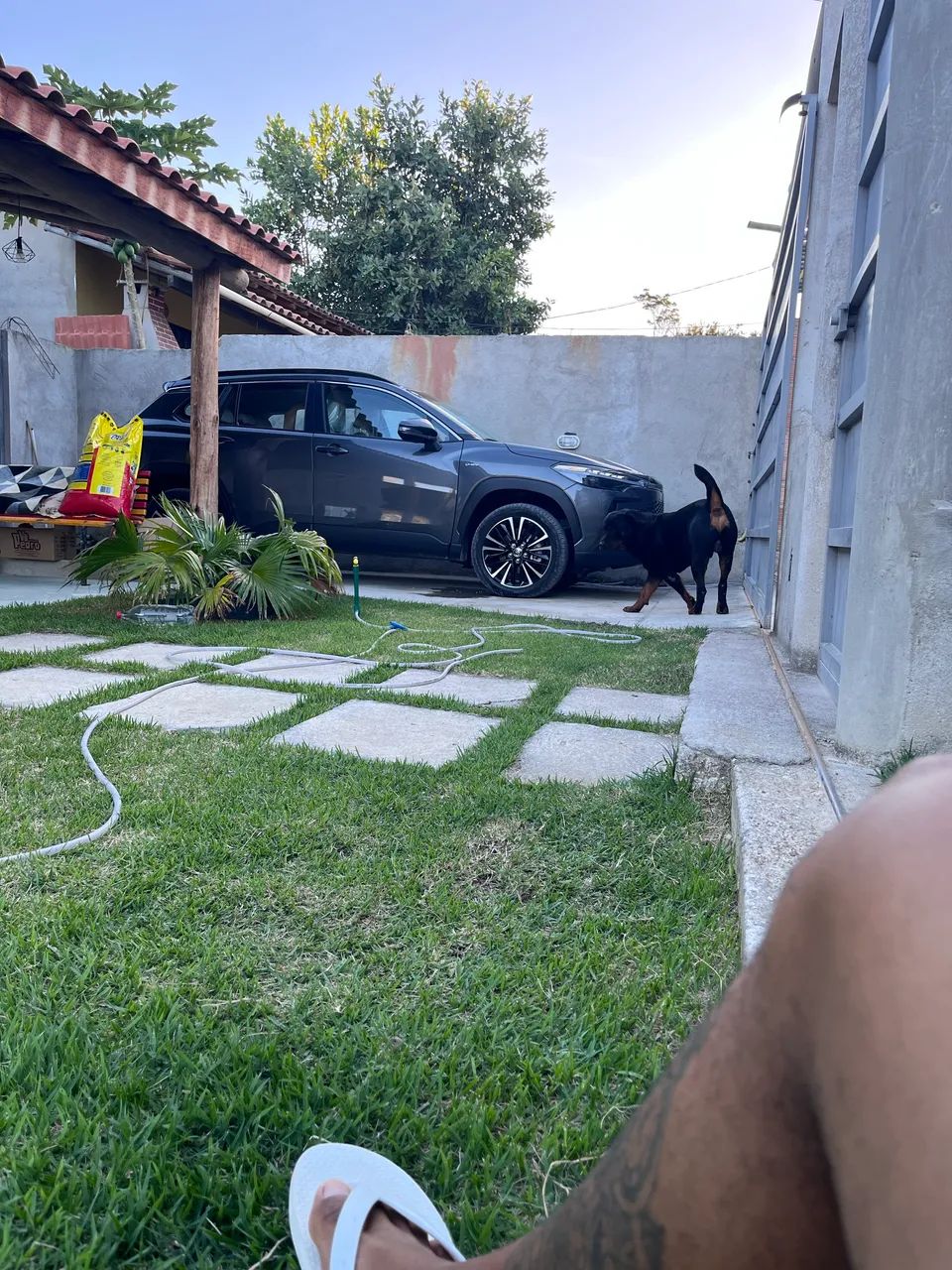 Corolla cross Híbrido  - Foto 2