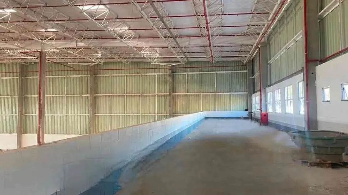 Ótimo galpão para locação com exelente espaço de 3.377,38m², na BR 153 KM 20, Fazenda Sant - Foto 13