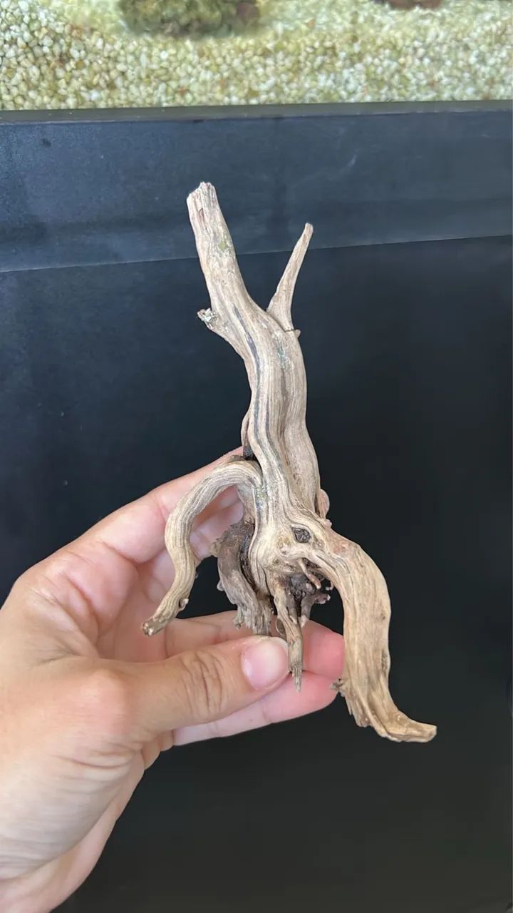 Troncos naturais para aquário  - Foto 3