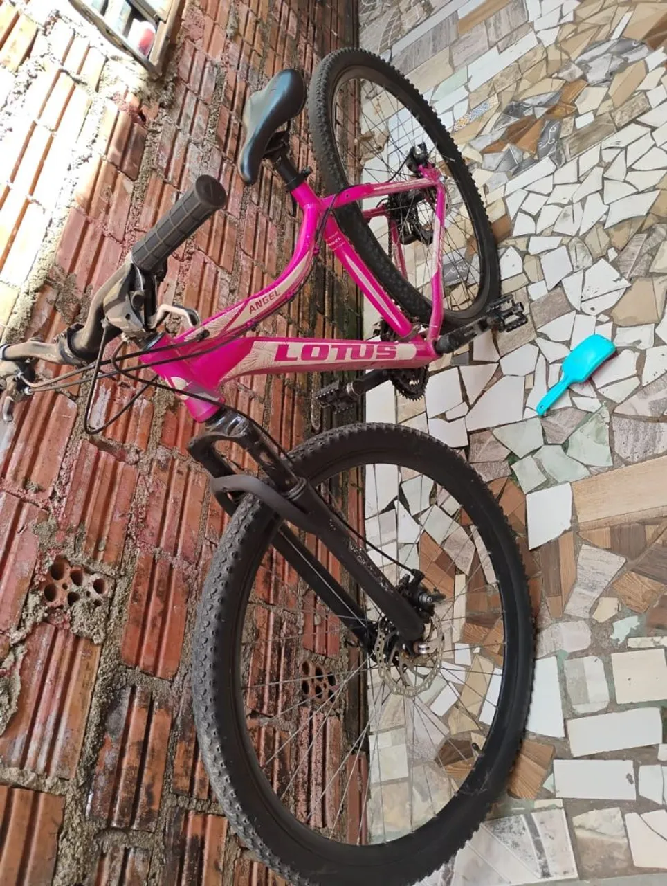 Bicicleta Lotus Angel - Aro 26