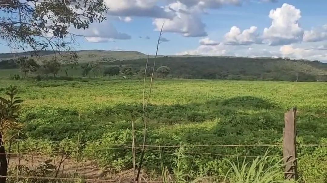 Foto - Aparecida de Goiânia - Jardim Alto Paraíso