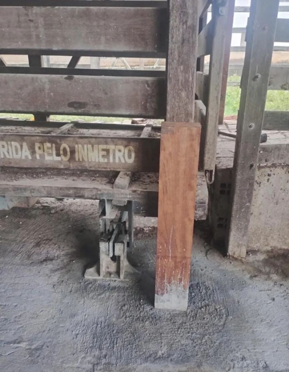 Balança de gado com kit eletrônico te pesagem bovina - Foto 2