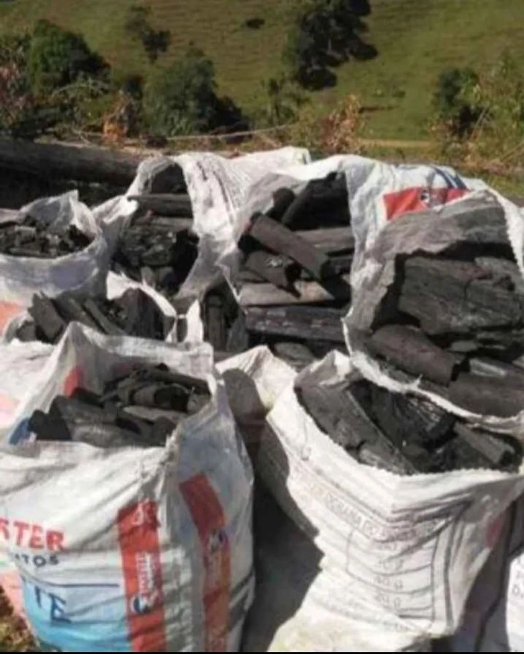 Vendo Carvão Vegetal 63824580385153123