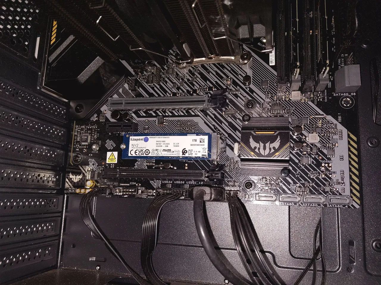 Pc gamer64310976050817124