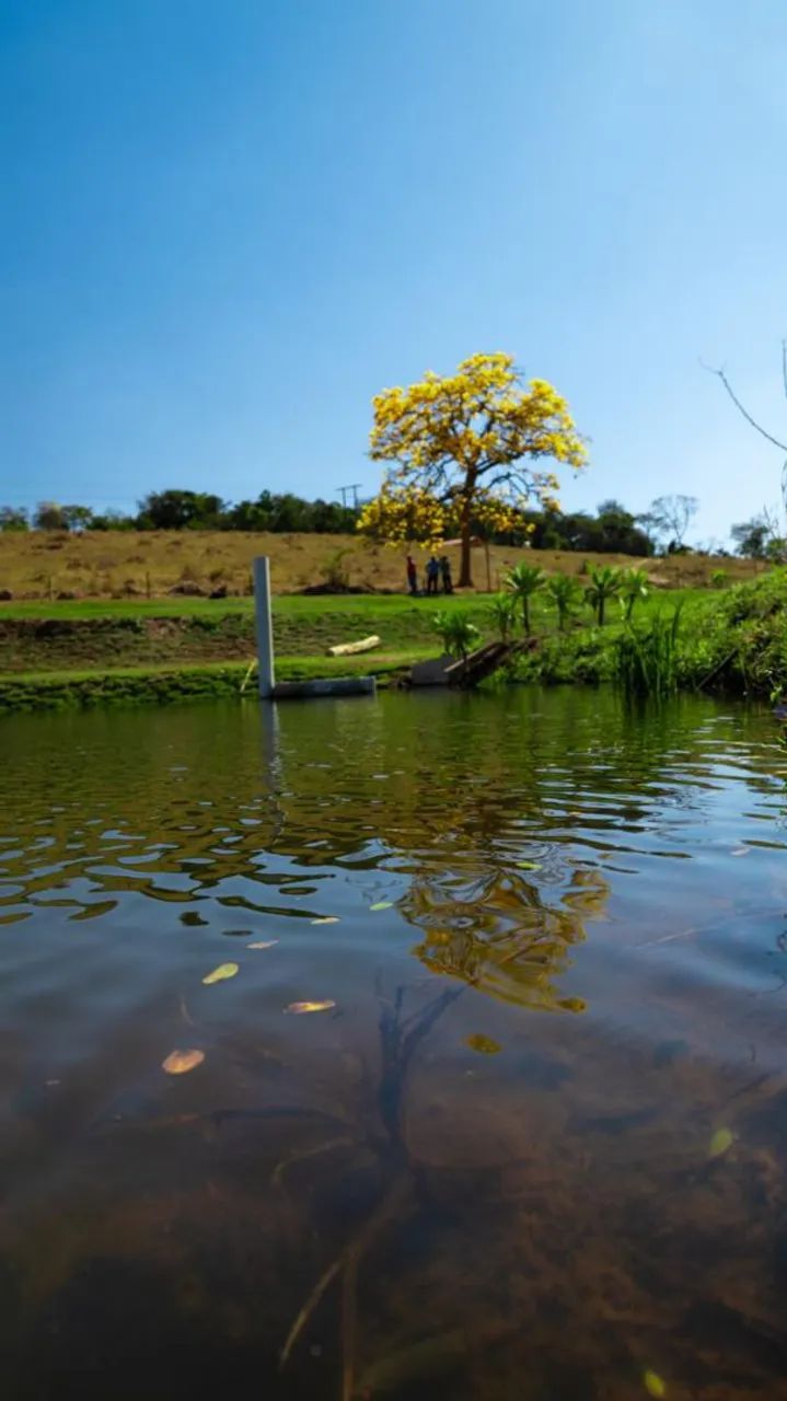 CHÁCARAS FINANCIAMENTO PRÓPRIO EM RIO MANSO. - Foto 4