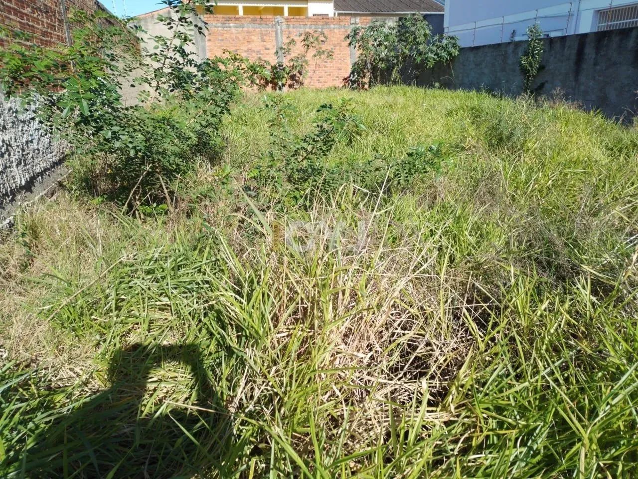 Terreno 10 x 30 plano localizado bairro monte carlo - Foto 2